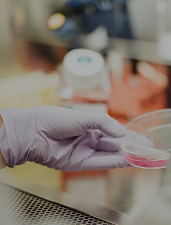 富易堂(中国)有限公司网站